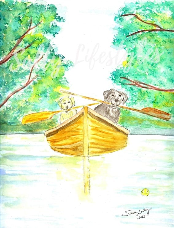 Boat Dogs