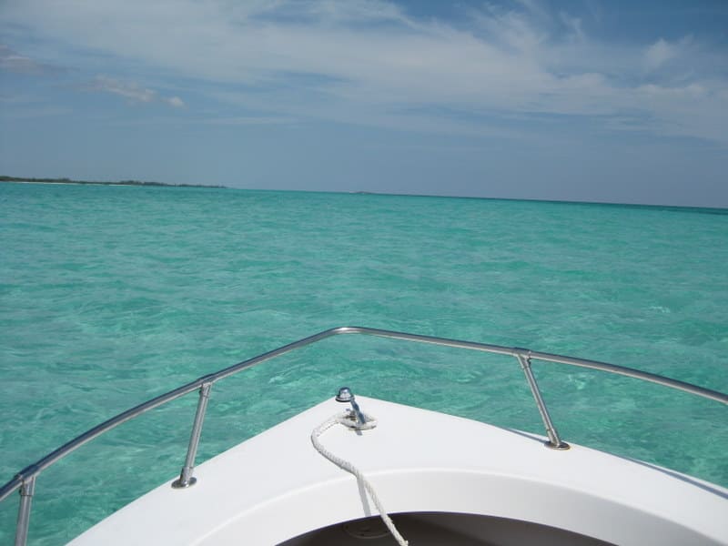 You are currently viewing Salty Music Playlist